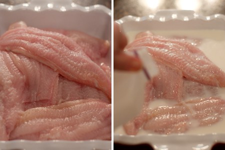 Catfish Fillets