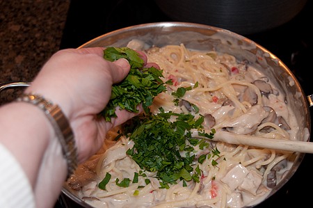 Turkey Tetrazzini