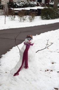 Mr. Frosty