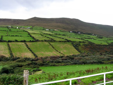 The Irish countryside The Irish countryside