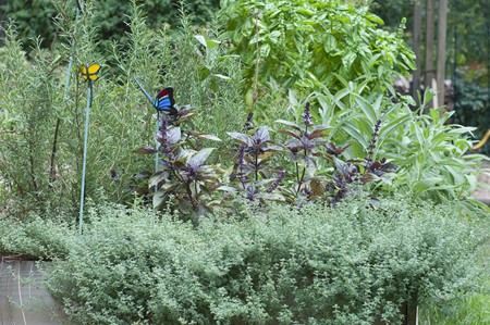 Lana's Herb Garden