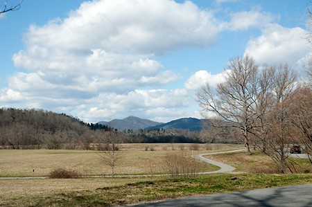 Biltmore estate view