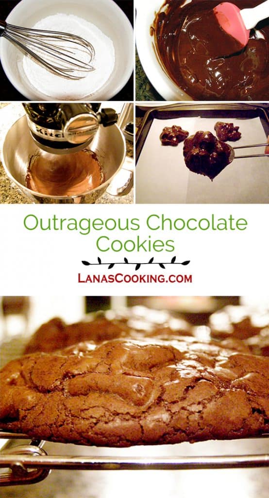 A decadent chocolate cookie that bakes up shiny and crackly on the outside and soft in the center. https://www.lanascooking.com/outrageous-chocolate-cookies/