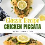 Chicken piccata with lemon slices and capers on a white plate, garnished with parsley.