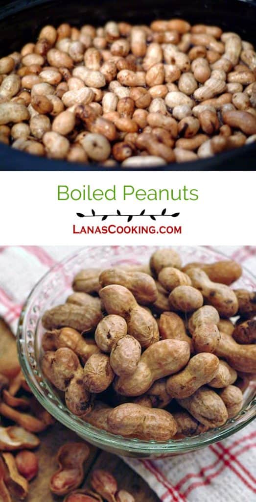 Boiled Peanuts - a little salty, a little earthy, a lot delicious! A real southern delicacy. https://www.lanascooking.com/boiled-peanuts/