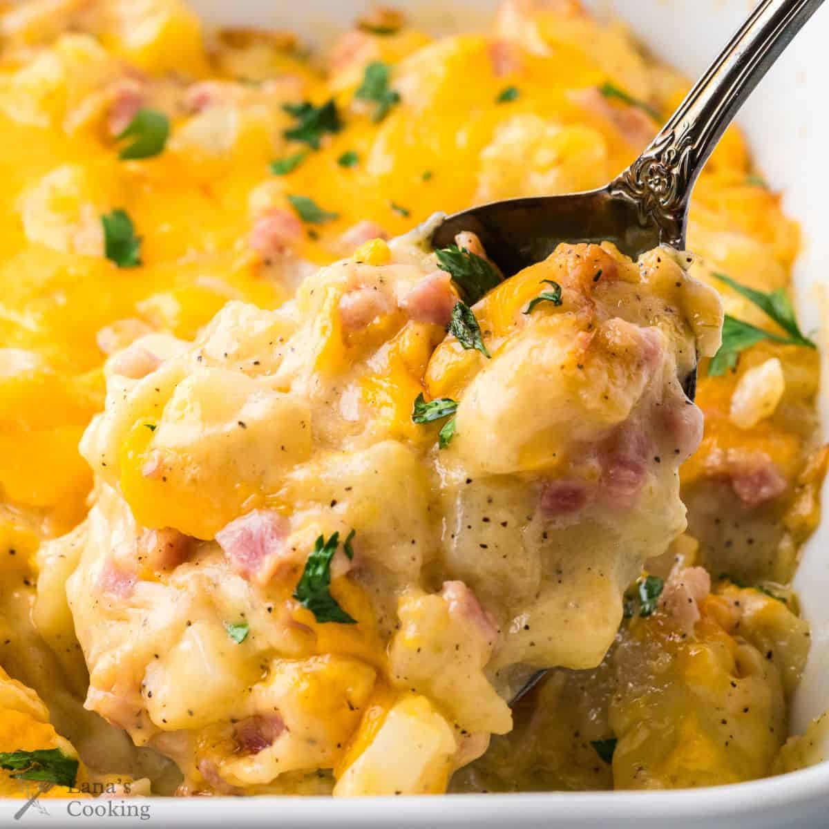 Cheesy ham and potato bake in a casserole dish with a large spoonful being shown.