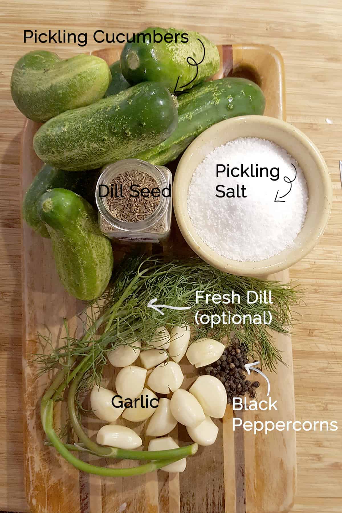 Photo of ingredients needed for making kosher dill pickles.