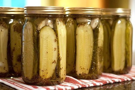 Our family's favorite dill pickles - Kosher dills with lots of fresh dill and garlic. Tested and approved safe canning recipe for shelf stable storage. https://www.lanascooking.com/favorite-kosher-dills/