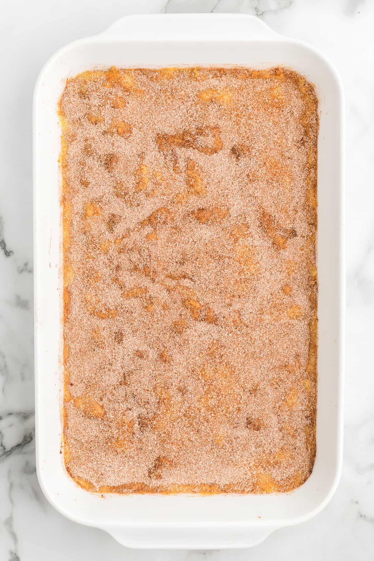 Cinnamon and sugar mixture added to the top of the baked pudding.