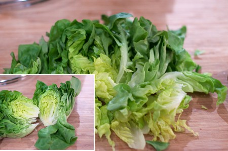 Prepping a head of lettuce.