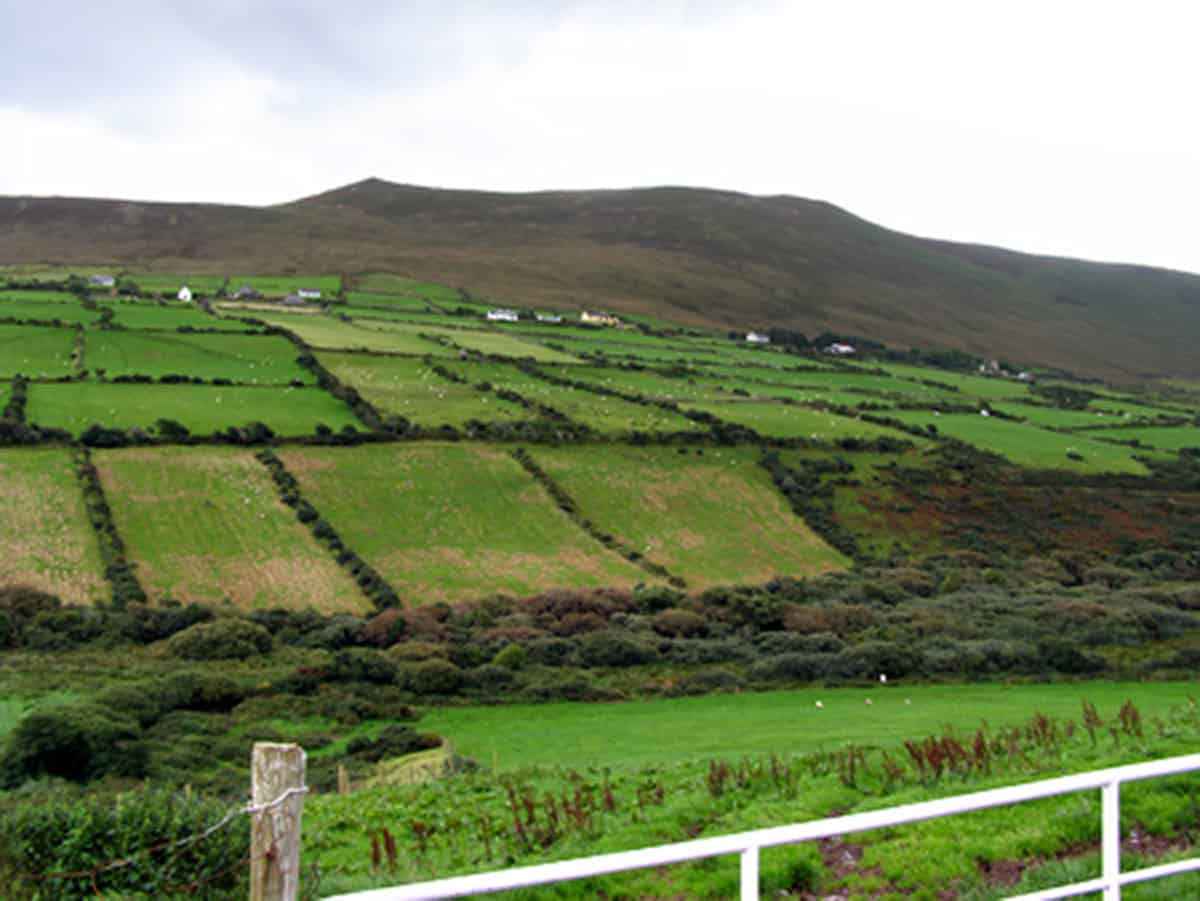 The Irish countryside.