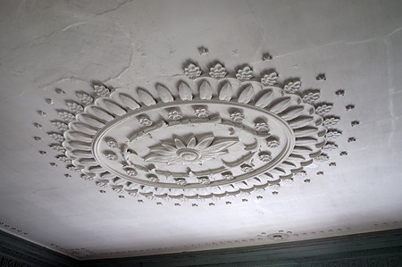 Drayton Hall ceiling