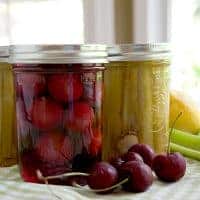 Tart Pickled Cherries and Pickled Celery Sticks - two unusual homemade pickles to accompany drinks, antipasto, or charcuterie. https://www.lanascooking.com/tart-pickled-cherries-and-pickled-celery-sticks/