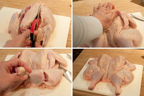 Collage illustrating how to spatchcock a chicken.