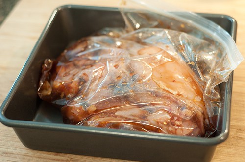Place the chicken and marinade in a resealable bag for Asian Style Barbecue Chicken Sandwiches