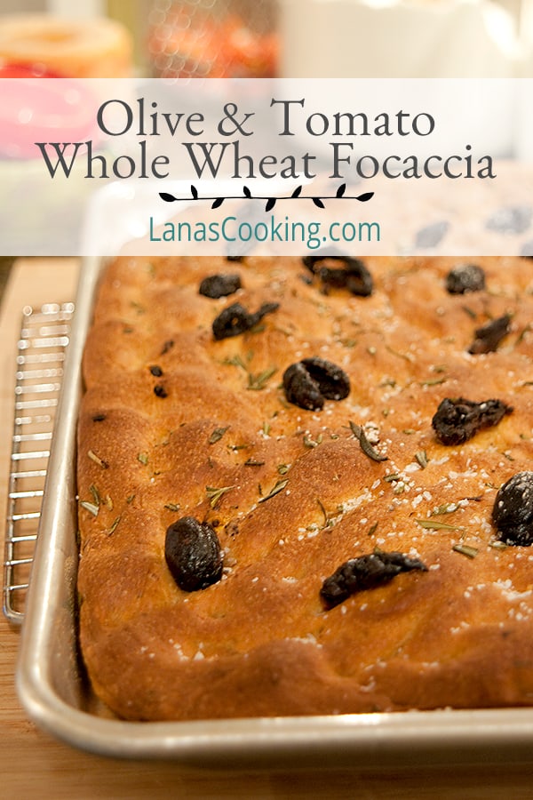 Whole Wheat Focaccia with Olives and SunDried Tomatoes Whole Wheat Focaccia with Olives and SunDried Tomatoes