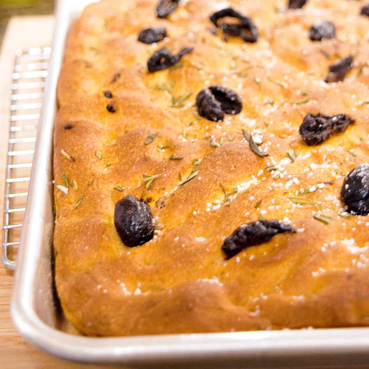 Finished olive tomato whole wheat focaccia in a baking pan on a cooling rack.