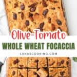 Whole wheat focaccia topped with olives and tomatoes, shown whole and cut into squares on a baking sheet.