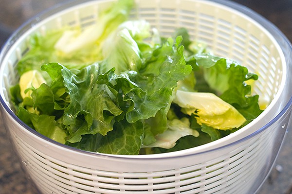 Spin dry the escarole leaves