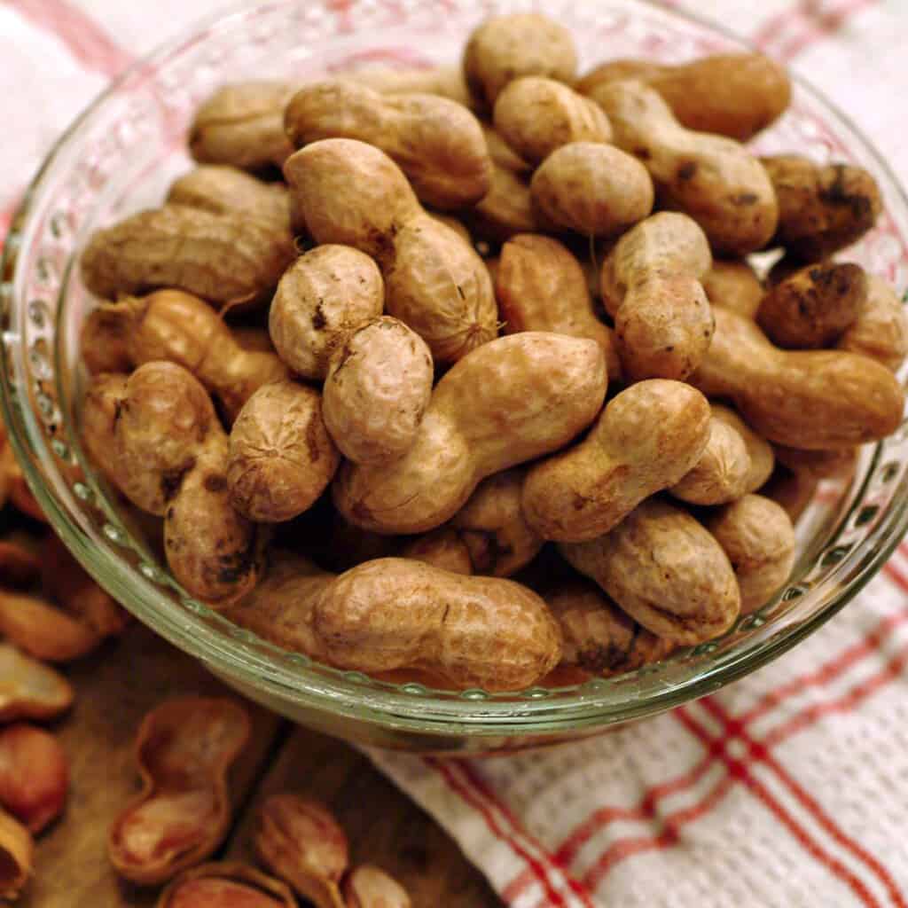 Boiled peanuts in a glass bowl.