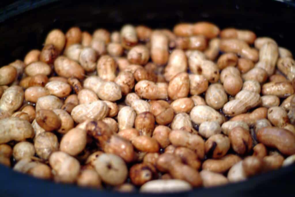 Clean, washed peanuts in a slow cooker.