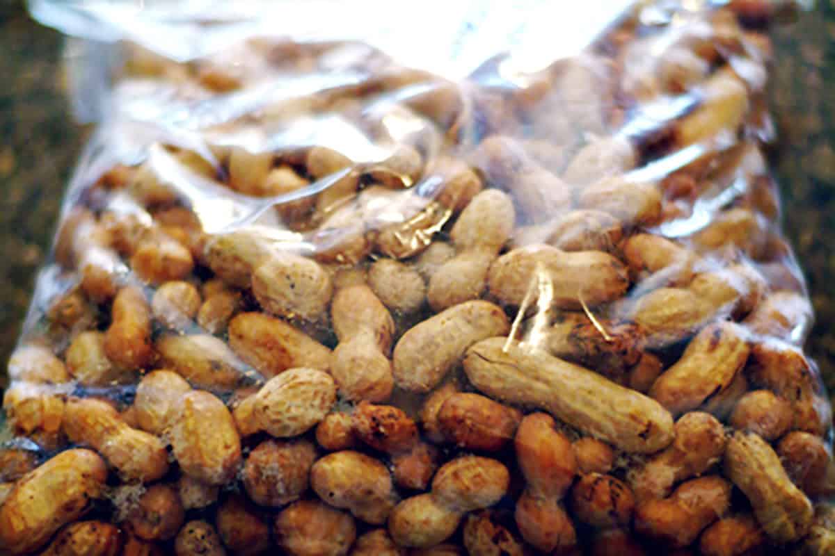 peanuts_raw A clear plastic bag filled with raw green peanuts.