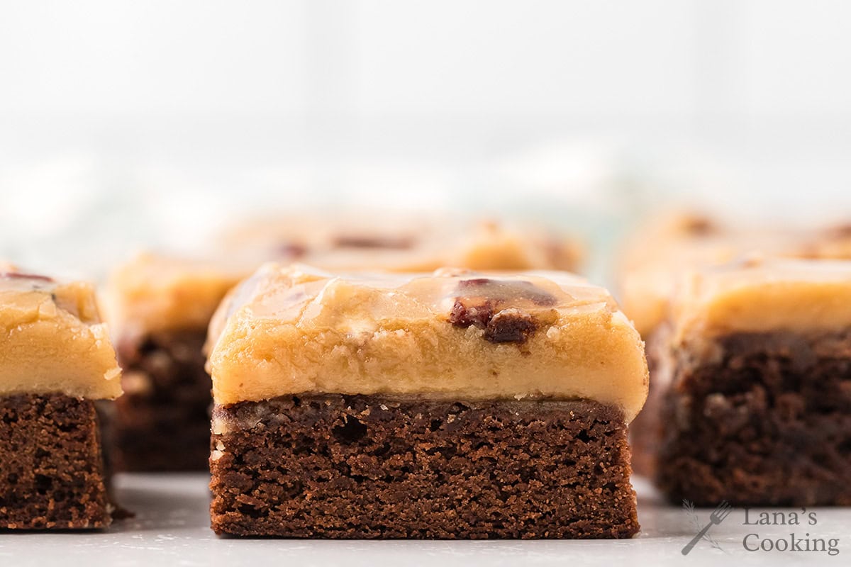 Close-up of frosted chocolate brownies with a thick layer of praline frosting on top.