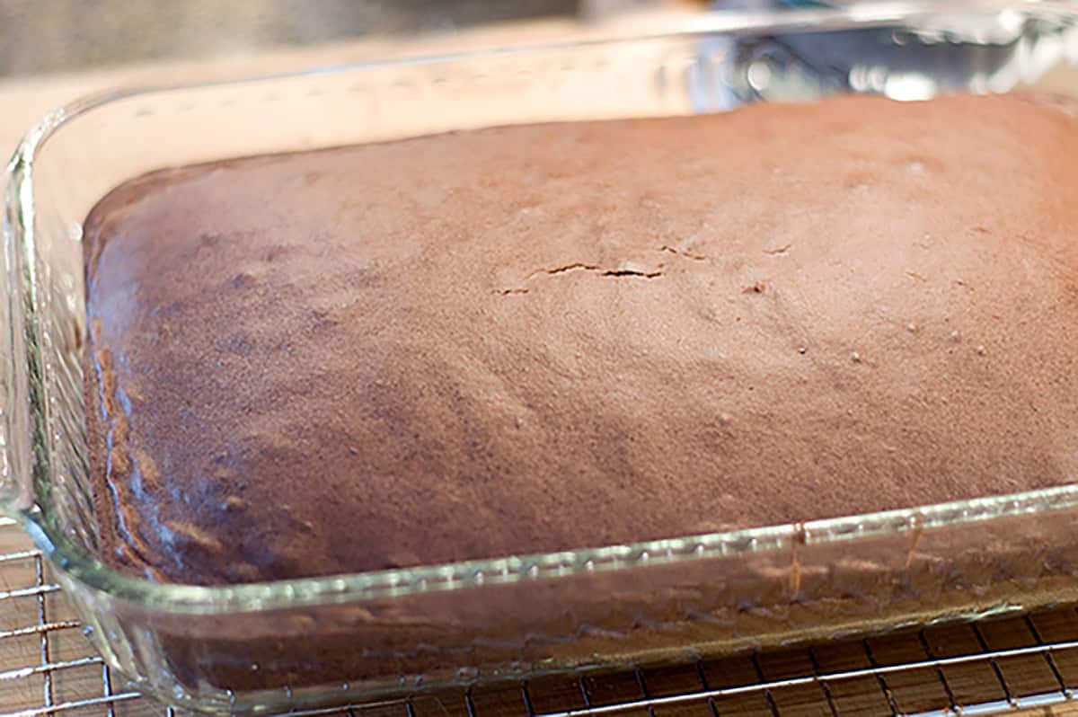 A rectangular chocolate cake in a glass baking dish, cooling on a wire rack.