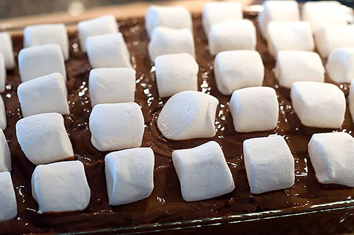 A close-up of chocolate cake topped with rows of large, white marshmallows.