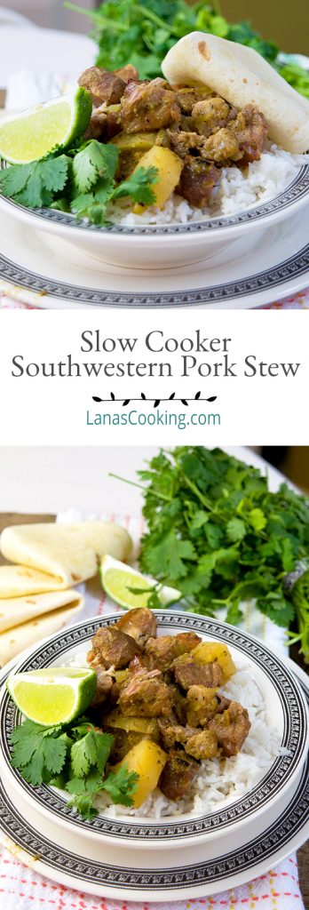 Pork, potatoes, and salsa verde make this delicious Slow Cooker Southwestern Pork Stew a Tex-Mex delight! Slow Cooker Southwestern Pork Stew from @NevrEnoughThyme https://www.lanascooking.com/slow-cooker-southwestern-pork-stew