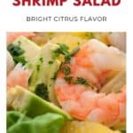 Close-up of shrimp salad with avocado, citrus, and fresh herbs on a white plate, labeled as Winter Shrimp Salad.