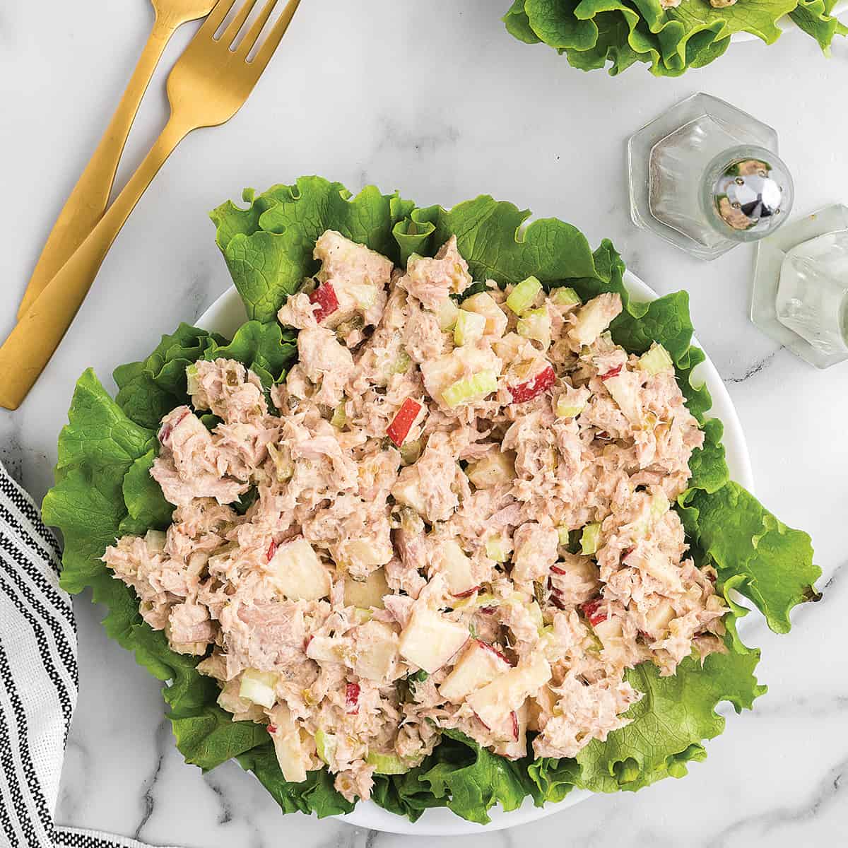 Tuna salad on a bed of lettuce.