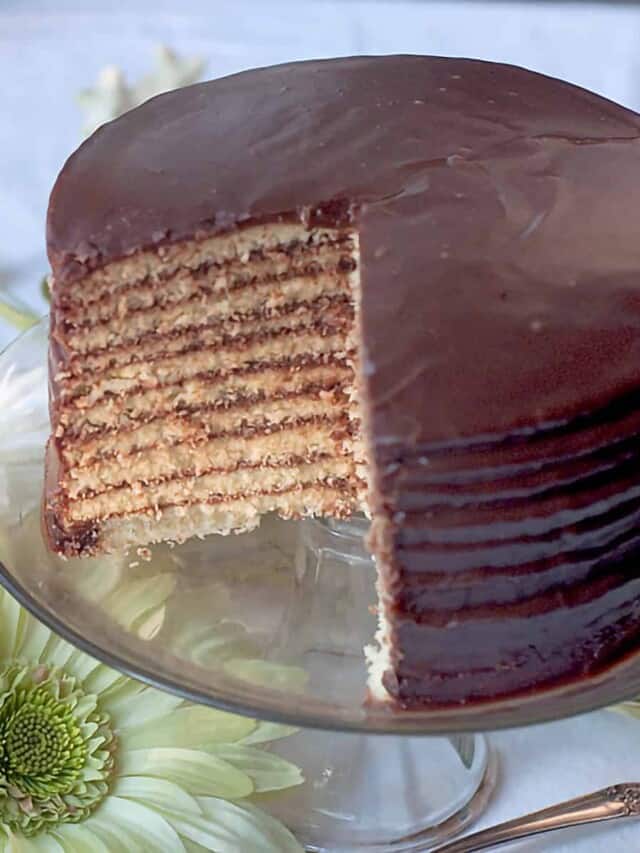 Chocolate Little Layer Cake  Story