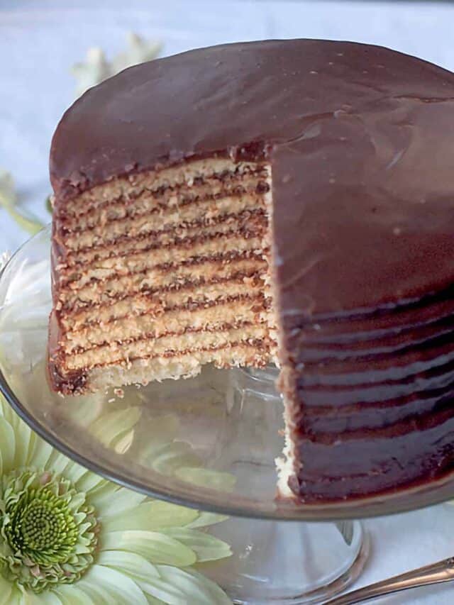 Chocolate Little Layer Cake Story