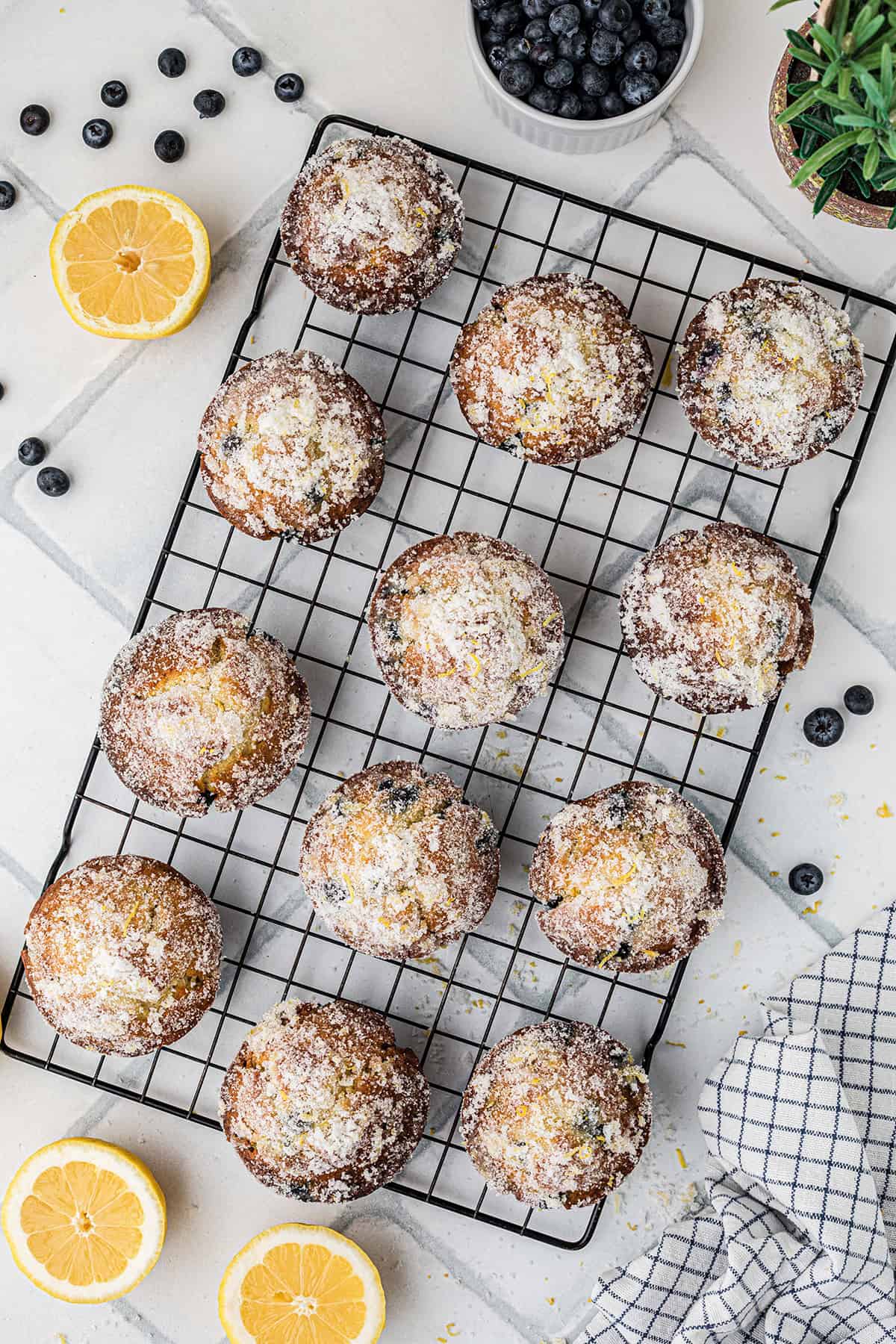 Twelve sugar-dusted blueberry muffins on a cooling rack, surrounded by blueberries, halved lemons, and a blue checkered cloth on a white tiled surface.