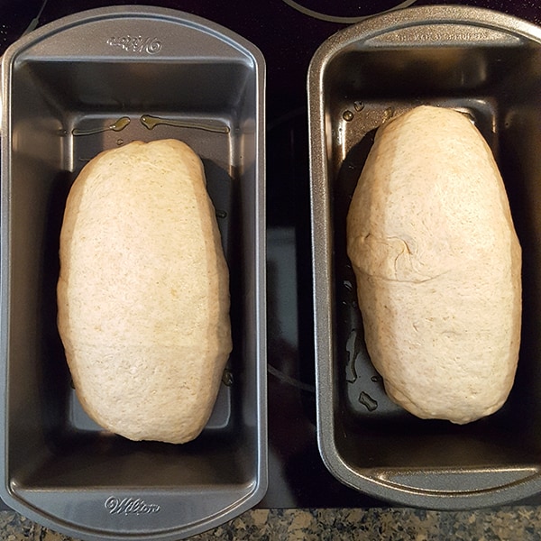 Two formed loaves placed into loaf pans.