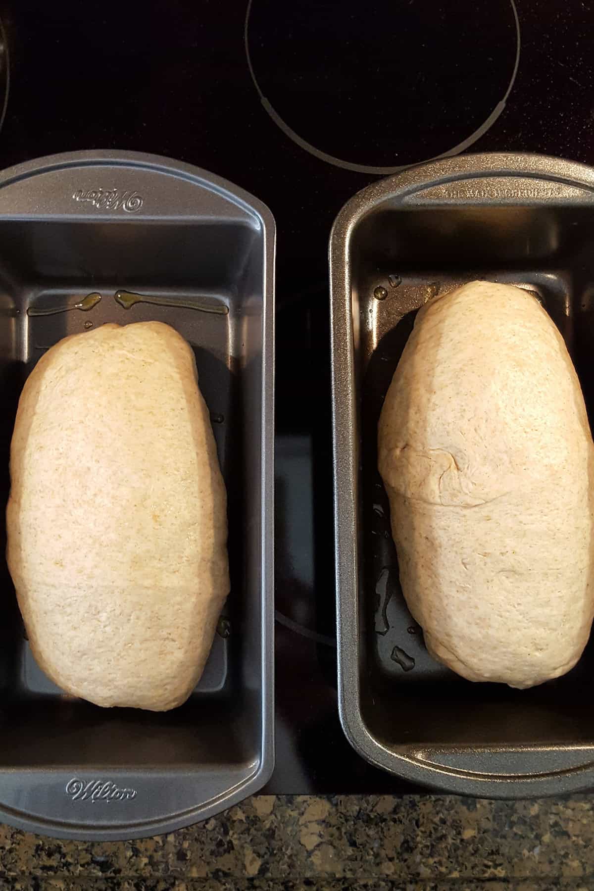 Two unbaked loaves of bread dough in rectangular metal baking pans.