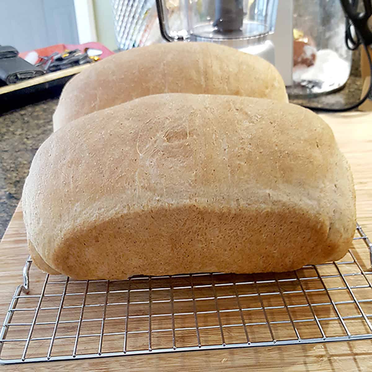 Two loaves of golden-brown bread cooling on a wire rack.