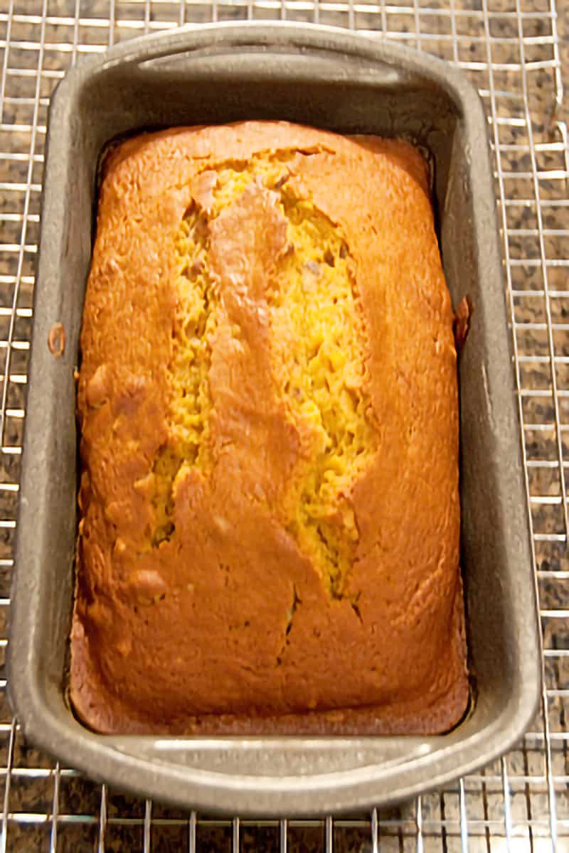 The baked black walnut pumpkin bread in a loaf pan on a cooling rack.