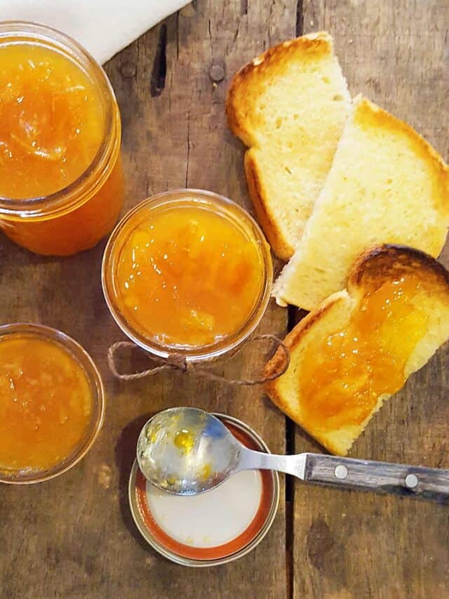 Instant Pot Spiced Orange Marmalade Story