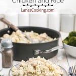 A serving of chicken and rice on a dish.