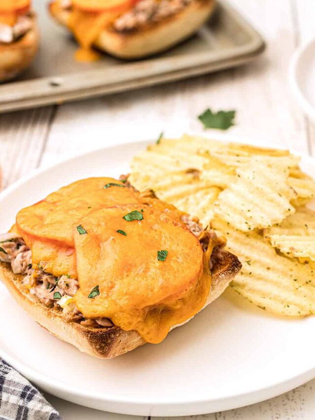 Oven Baked Tuna Melt Sandwich on Ciabatta Story