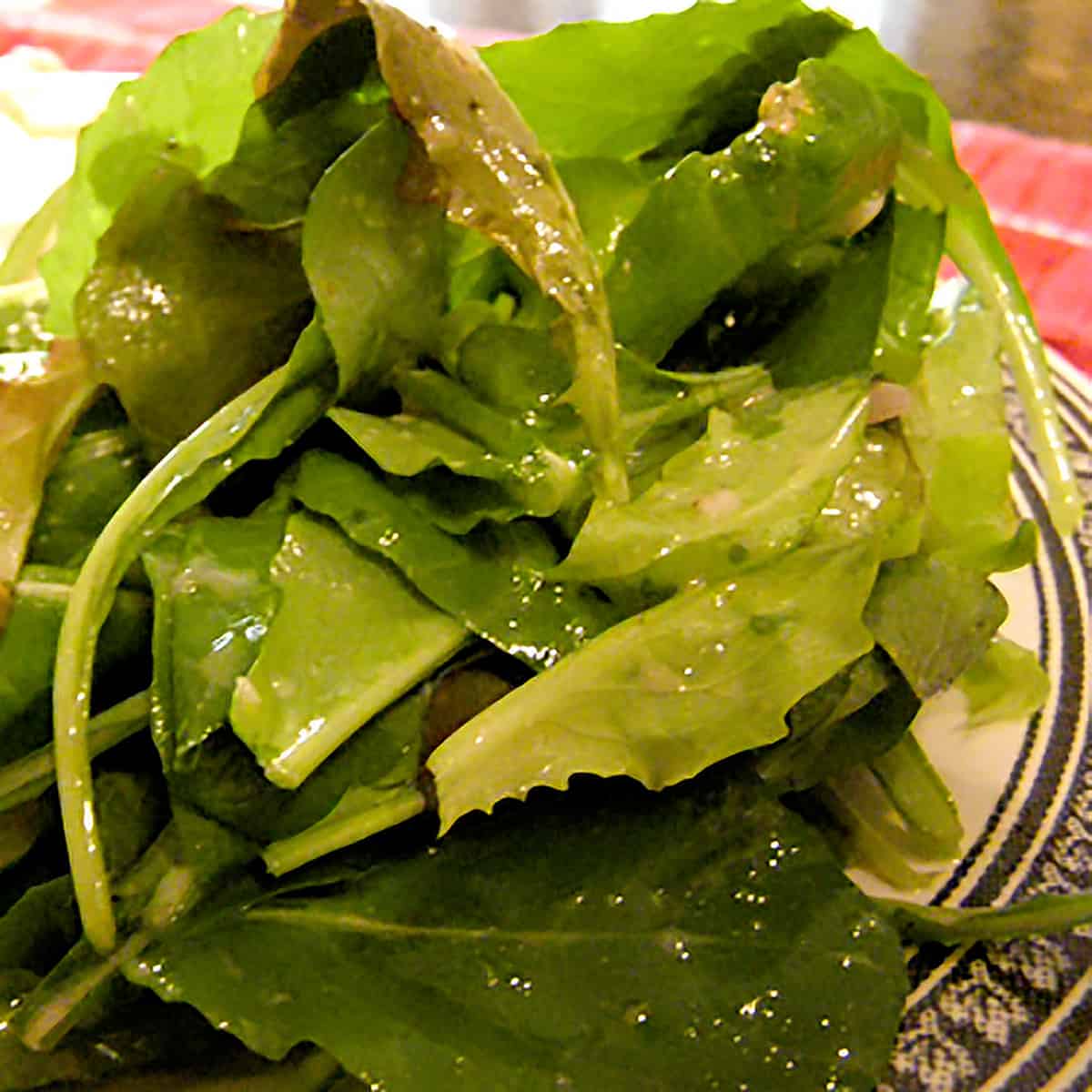 Fresh salad greens tossed with class vinaigrette dressing.