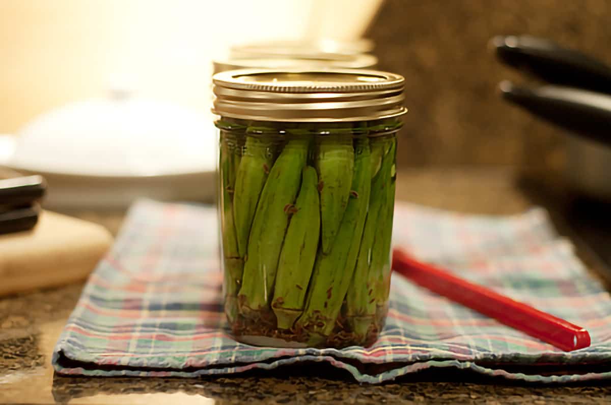 Pickled okra ready for canner Filled jars with lids and rings applied.