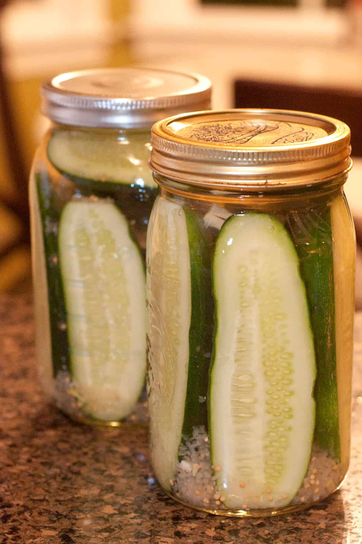 Glass jars of refrigerator dill pickles.