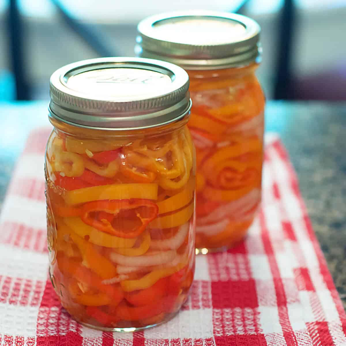 Glass canning jars filled with refrigerator pickled peppers.