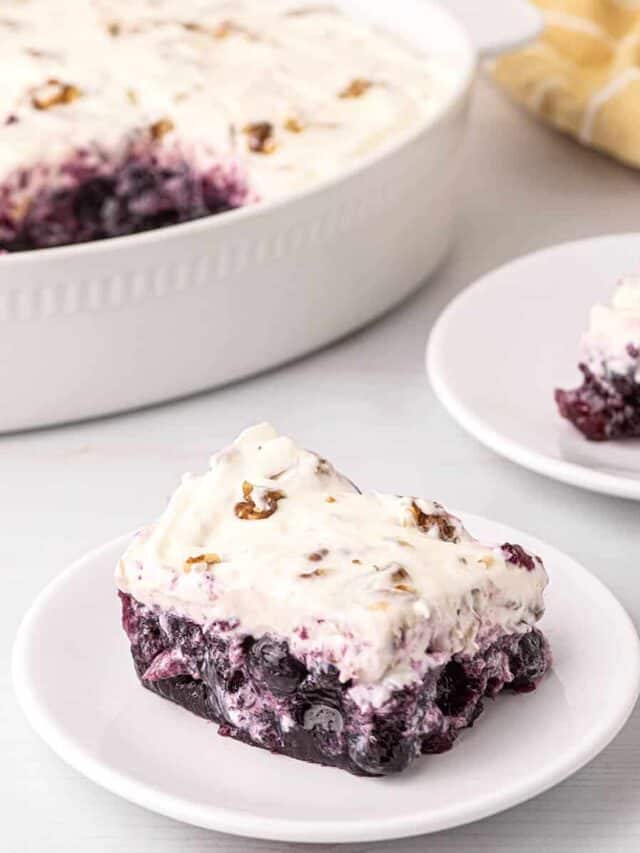 Blueberry Pineapple Congealed Salad Story