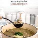 A ladle of chili over a pot of finished chili verde.