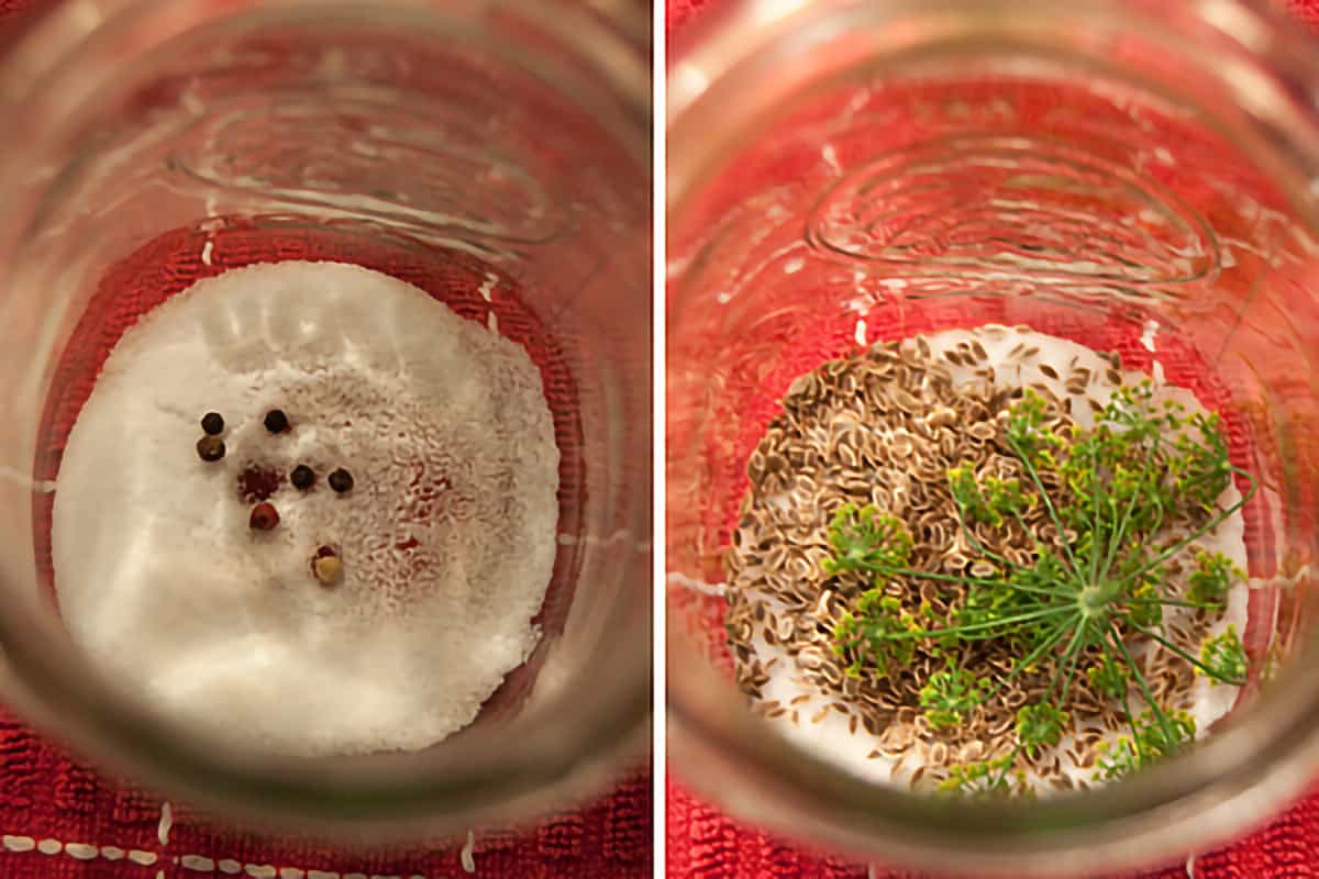 Jar containing salt, peppercorns, and dill.