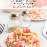 A serving of tomato cracker salad on a white plate.